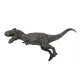 Dinossauros Carnívoros/Livro + Dinossauro Articulado
