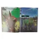 Dinossauros Herbívoros/Livro + Dinossauro Articulado