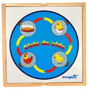 Ciclo da Vida- BrinqMutti (Ref: 198) Ciclo da Vida- BrinqMutti (Ref: 198)