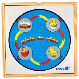 Ciclo da Vida- BrinqMutti (Ref: 198)