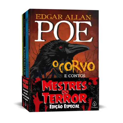 Livro - Histórias de Bruxas e de Terror - Livros de Literatura