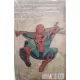 Coleção Histórica Marvel: O Homem-Aranha Vol 11