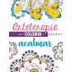 Arteterapia Para Colorir Antiestresse - Coleção com 6 Livros