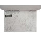 1500 Adesivos - Dinossauros- Livro de Colorir