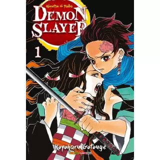 DEMON SLAYER VOL 01