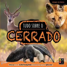 Biomas do Brasil: Tudo Sobre o Cerrado