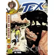 TEX EDIÇÃO DE OURO VOL 107 - PLANO DE FUGA TEX EDIÇÃO DE OURO VOL 107 - PLANO DE FUGA