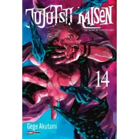Jujutsu Kaisen: Batalha De Feiticeiros vol. 14