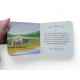 Dinossauros - Box com 6 mini livros 