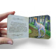 Dinossauros - Box com 6 mini livros 