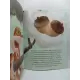 A Essência das Virtudes: A Cobra Preguiçosa