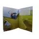Aprendendo com os Animais : Florinda e o Skate