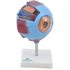 OLHO AMPLIADO EM 7 PARTES