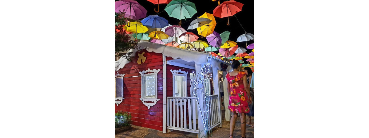 Feira do Livro Móvel em Novo Horizonte / SP