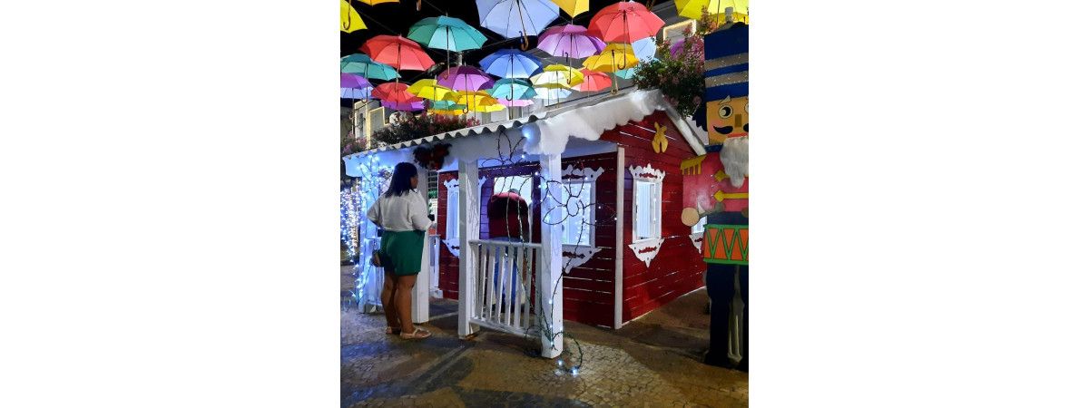 Feira do Livro Móvel em Novo Horizonte / SP