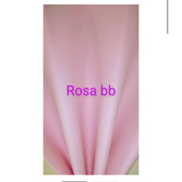 EVA LISO ( ROSA BB) PACOTE COM 10 FOLHAS 40X60 EVA LISO ( ROSA BB) PACOTE COM 10 FOLHAS 40X60
