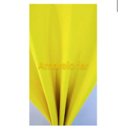EVA LISO ( AMARELO FERRARI) PACOTE COM 10 FOLHAS 40X60 