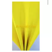 EVA LISO ( AMARELO FERRARI) PACOTE COM 10 FOLHAS 40X60 