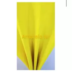 EVA LISO ( AMARELO FERRARI) PACOTE COM 10 FOLHAS 40X60 