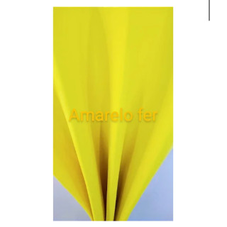EVA LISO ( AMARELO FERRARI) PACOTE COM 10 FOLHAS 40X60 EVA LISO ( AMARELO FERRARI) PACOTE COM 10 FOLHAS 40X60