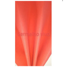 EVA LISO ( VERMELHO VIVO) PACOTE COM 10 FOLHAS 40X60 