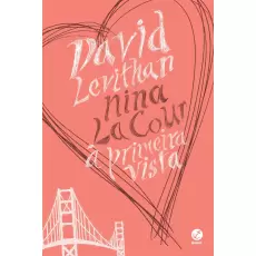À PRIMEIRA VISTA - David Levithan