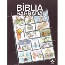 BÍBLIA SAGRADA COM ILUSTRAÇÕES - USADO